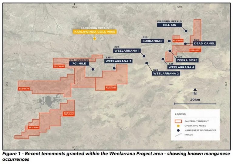 Pantera Minerals granted 3 tenements at the Weelarrana Manganese