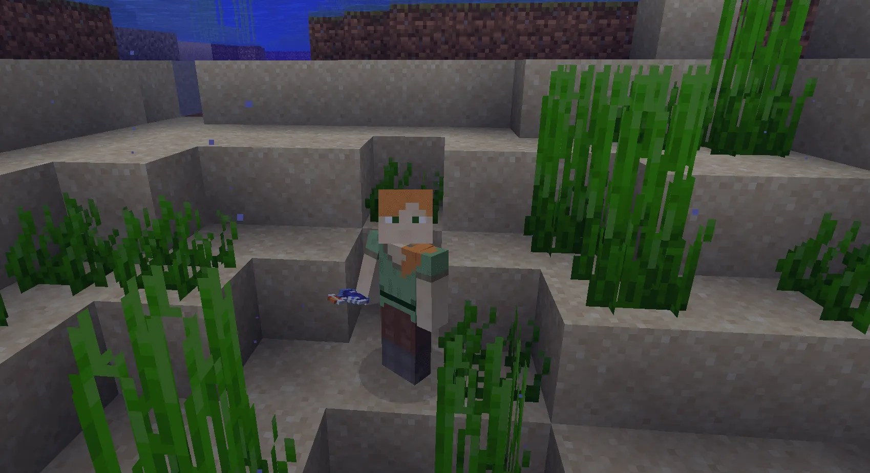 Everything about Minecraft Water Breathing Potion