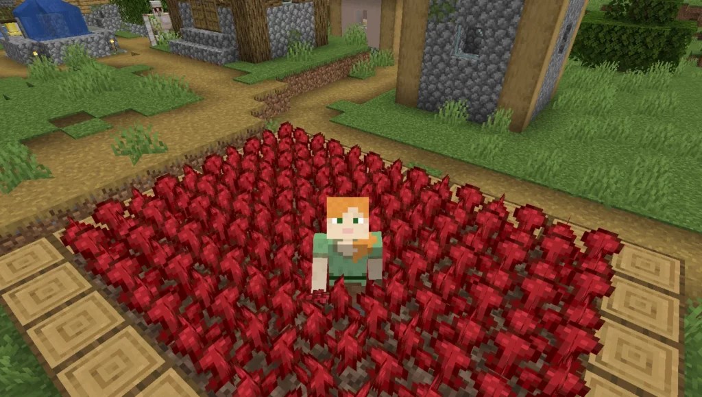 Minecraft Nether Wart how to make it grow faster