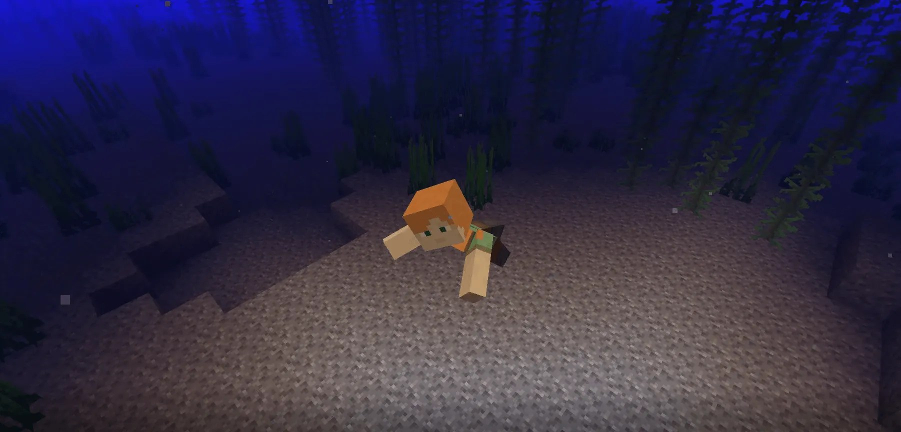 How to swim properly in Minecraft