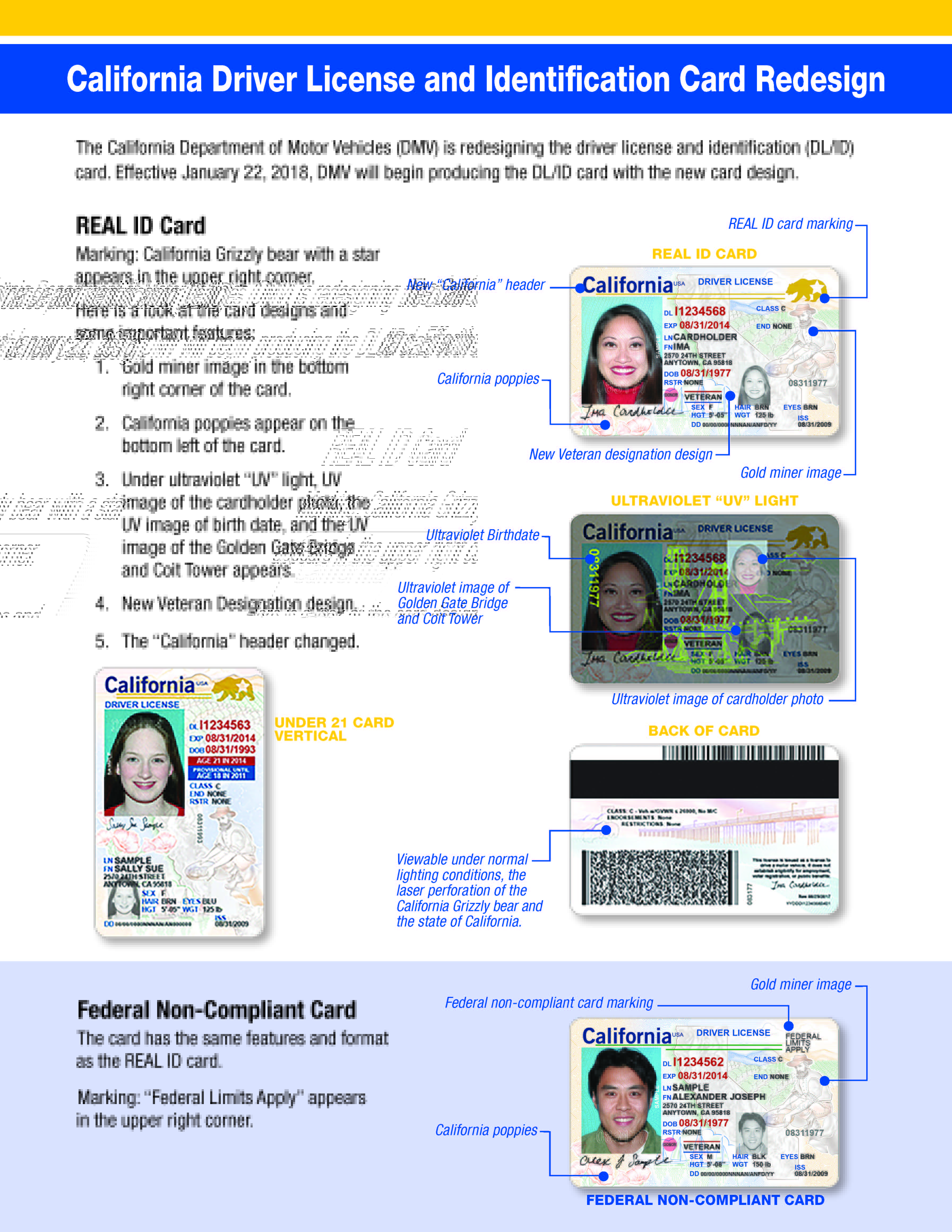 Nuevo Diseño de la Licencia de Manejar y Tarjeta de Identificación