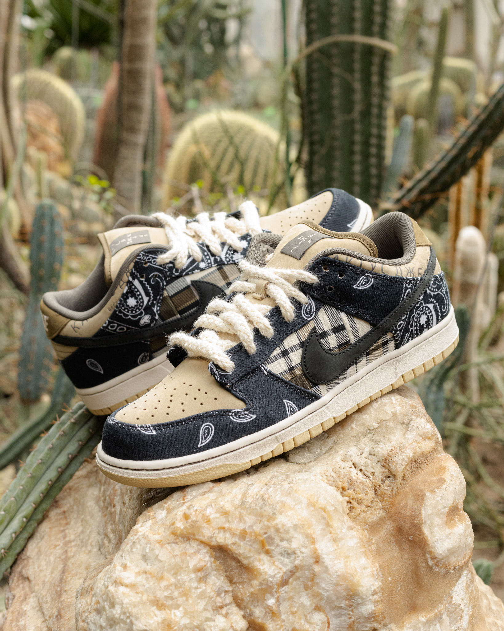 Nike SB x Travis Scott Dunk Low “Cactus Jack”