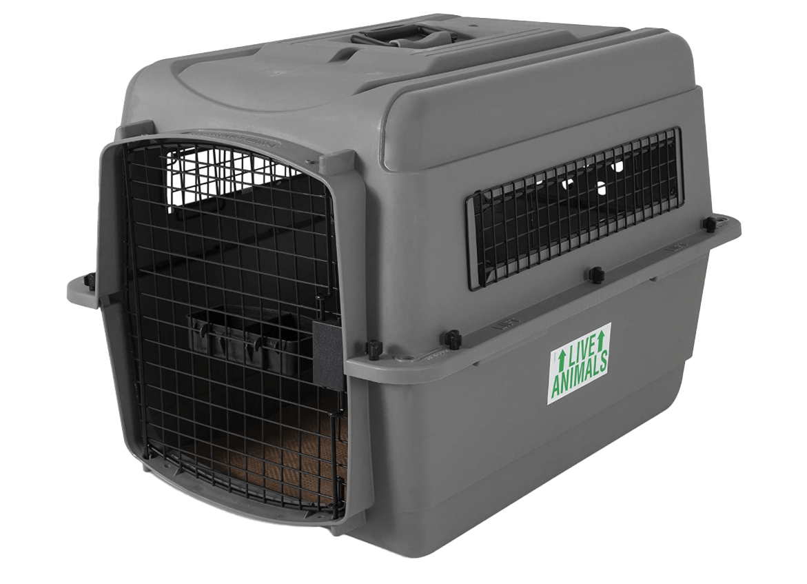 Your New Puppy Attaway Miniature Schnauzers