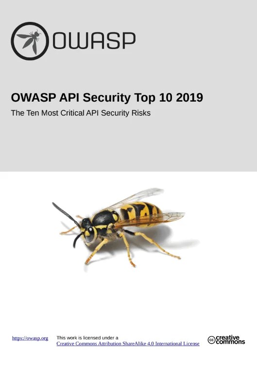 OWASP TOP 10 API Security Ministry of Security