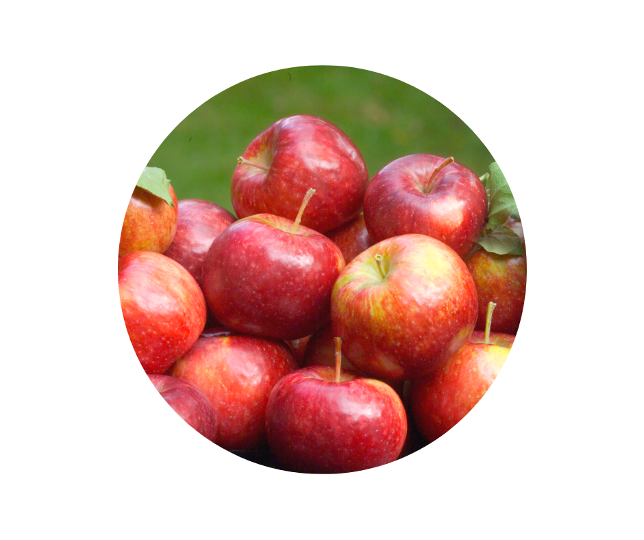 Apples Minnesota Grown