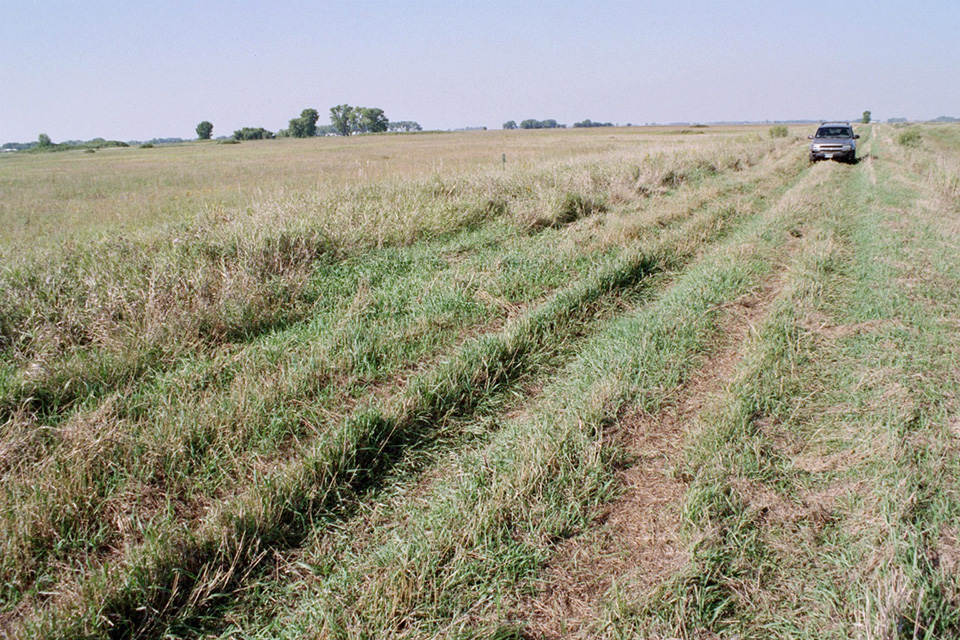 Minnesota Seasons Foxhome Prairie