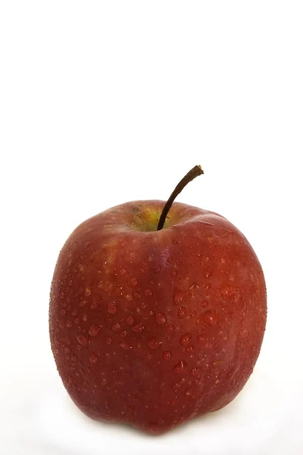 The Pacific Rose Apple Tree Minneopa Orchards