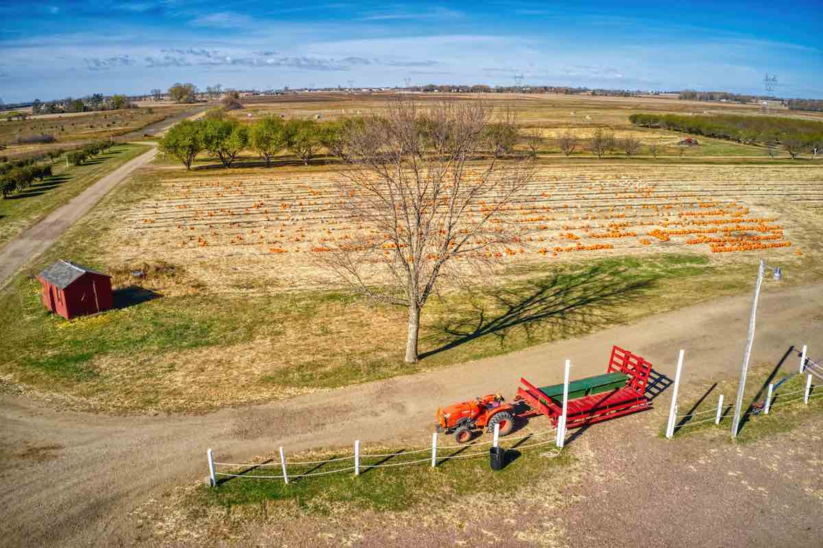 11 Best Pumpkin Patches in South Dakota Minneopa Orchards