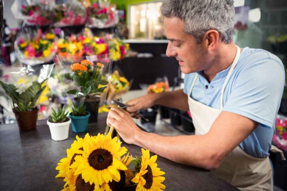 Big Smile Sunflower Planting, Growing, and Enjoying This Little Ray of