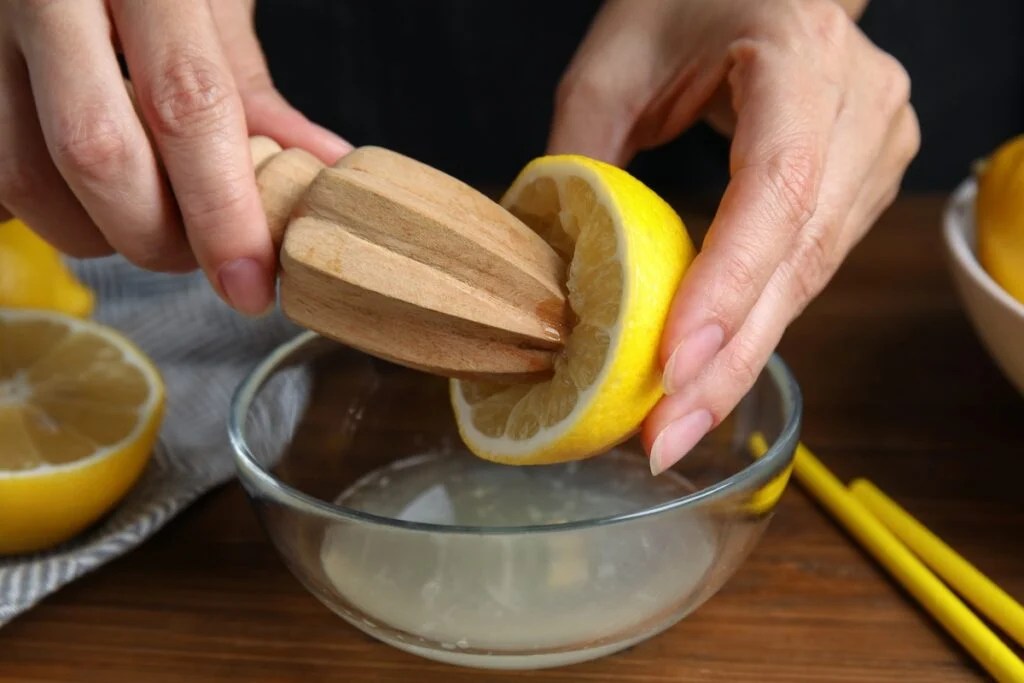 The 6 Best Citrus Reamers For the Freshest Juice Minneopa Orchards