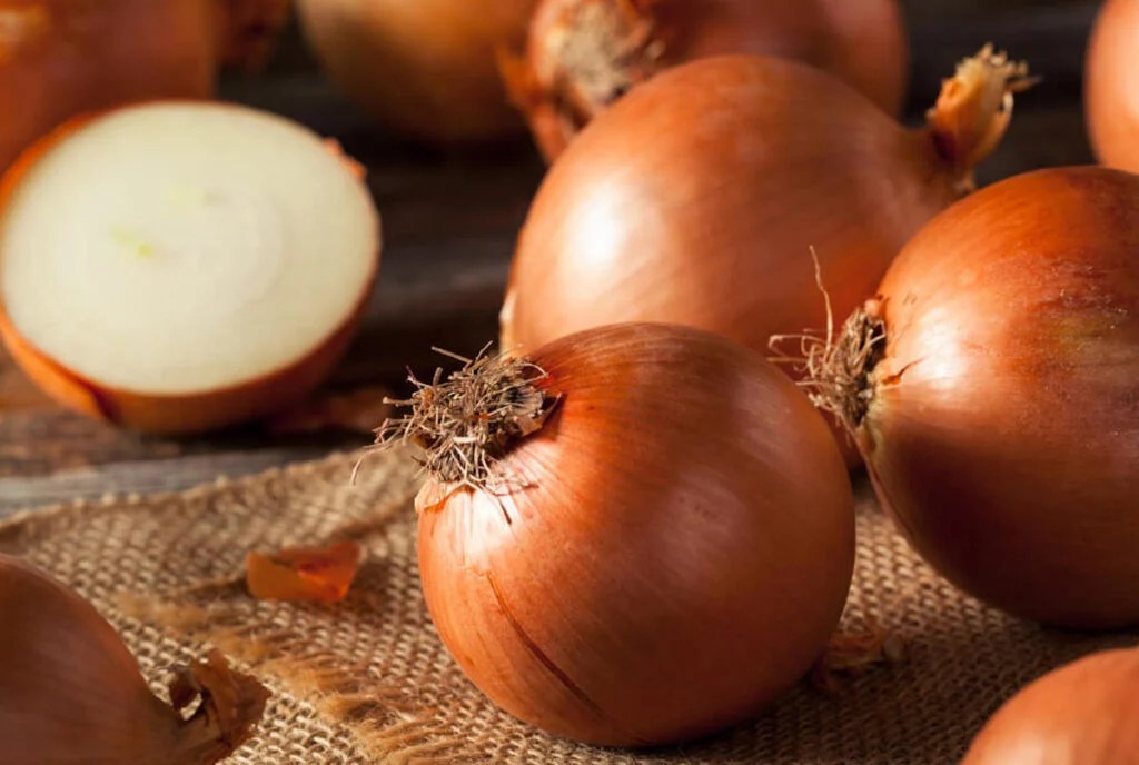 All About Yellow Onions Minneopa Orchards