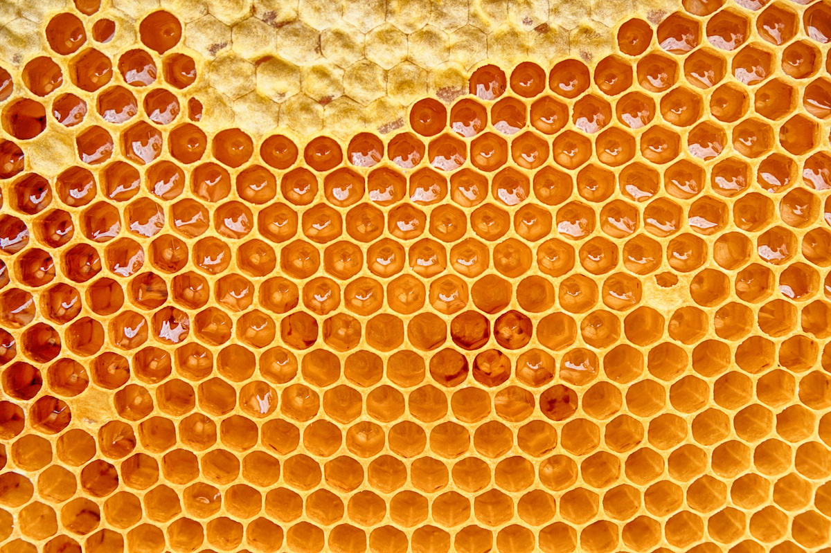 All About Honey Comb Eating, Sustainability, Storing, and More
