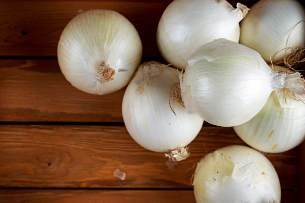 All About Spanish Onions Minneopa Orchards