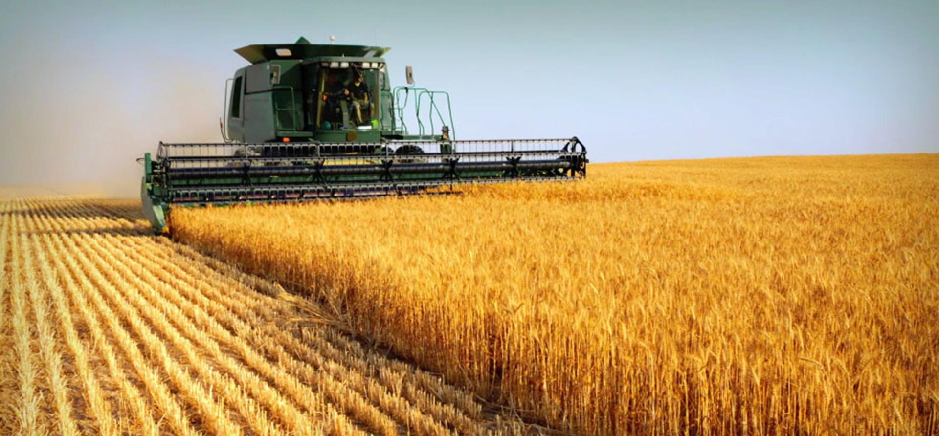 Agriculture Minot Area Chamber EDC