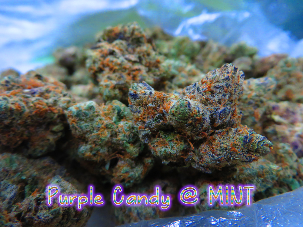 mint alternative healing MINT Alternative Healing Page 3