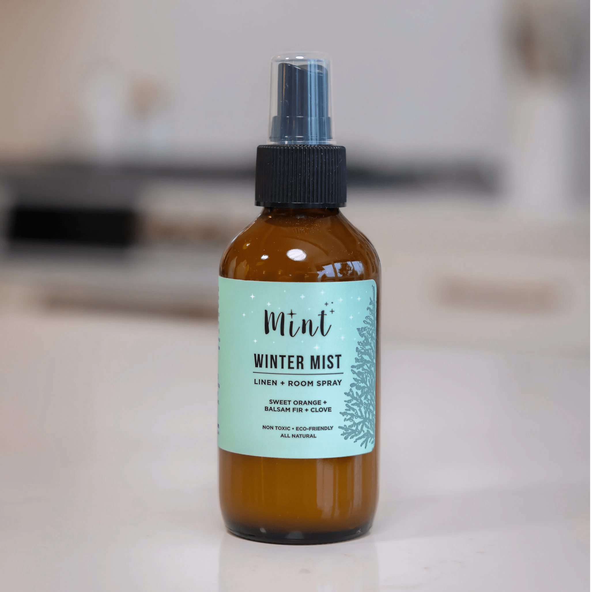 Winter Mist Mint Cleaning Products