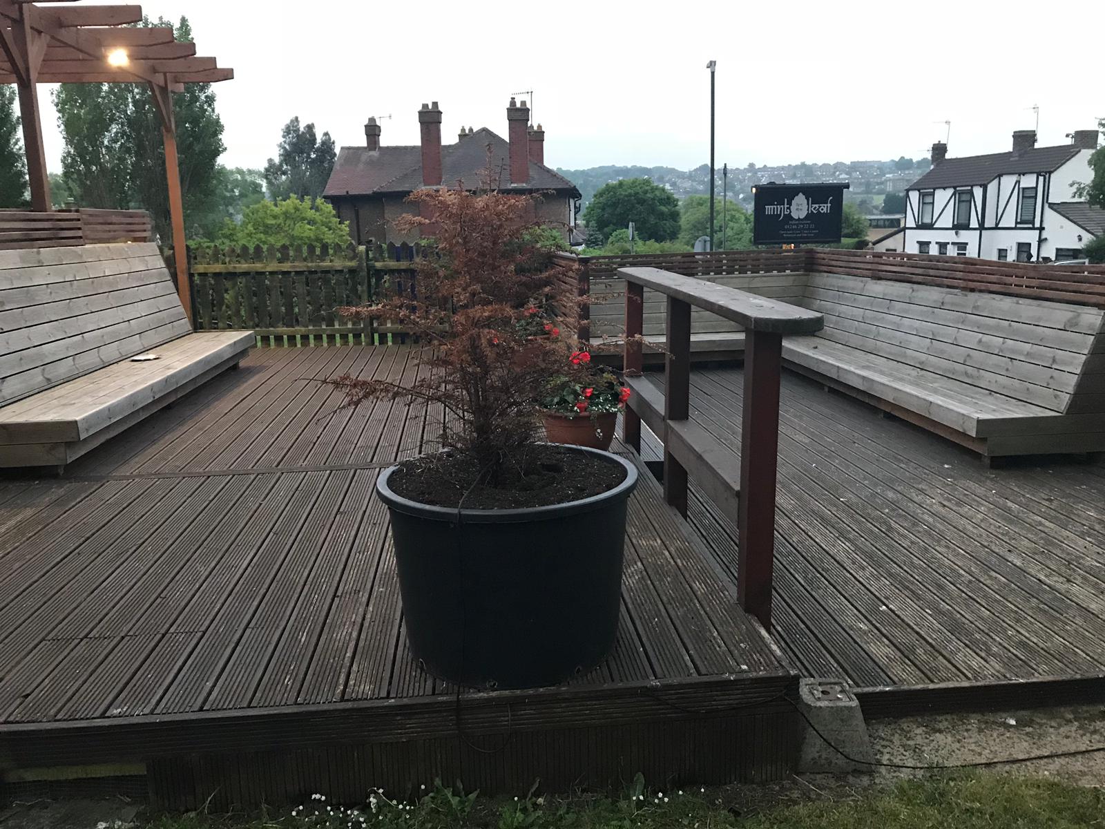 Food Gallery Mint Leaf Dronfield