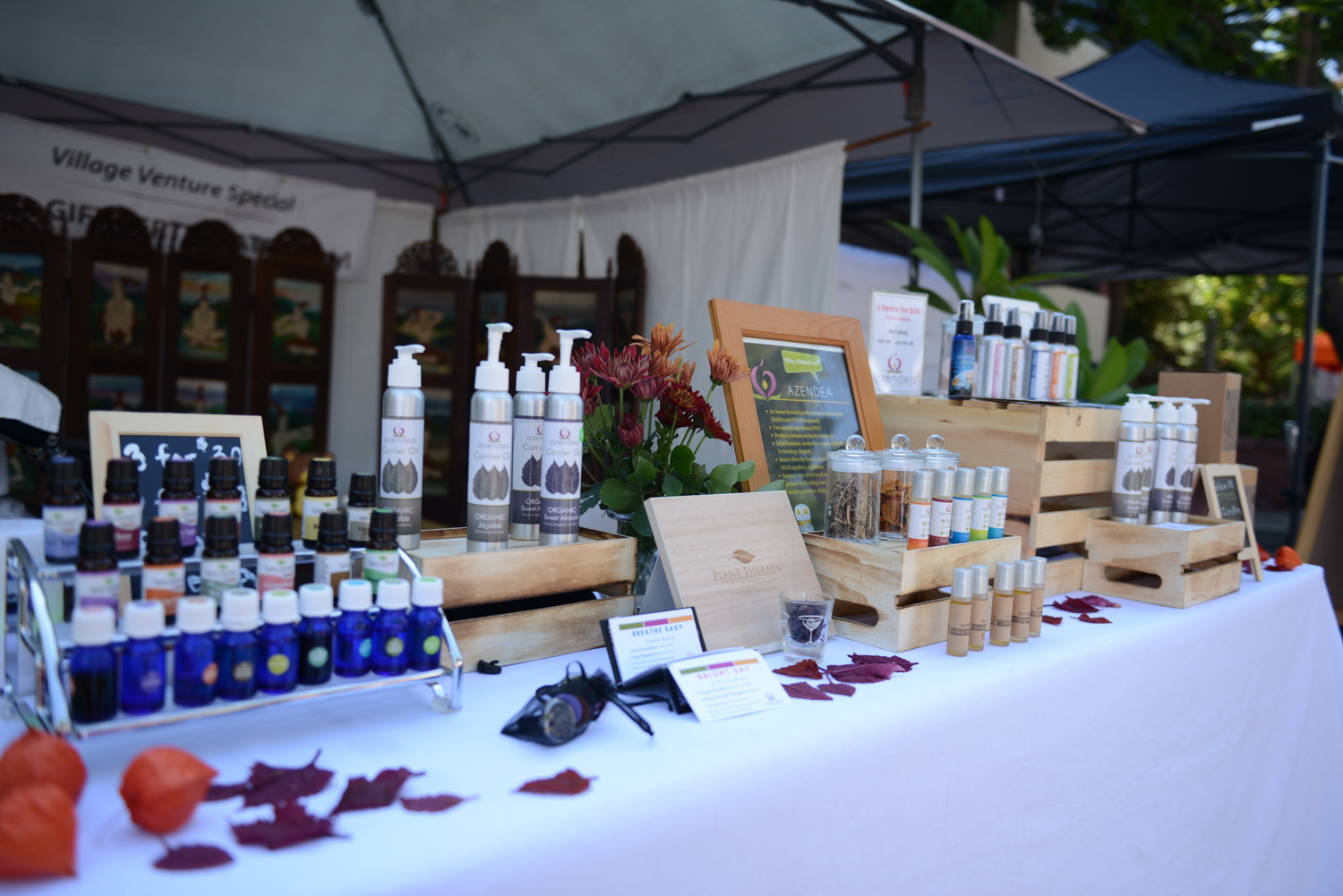 CONTACT Mint Leaf Thai Massage