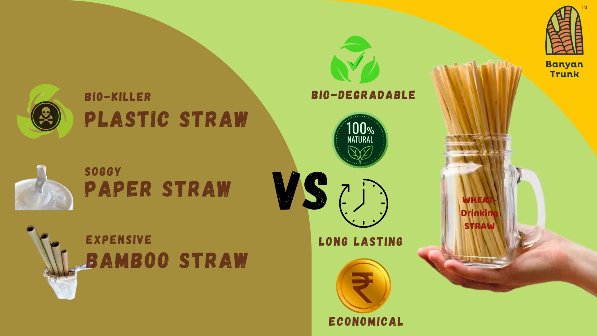 100 Natural Wheat Straw mintorie