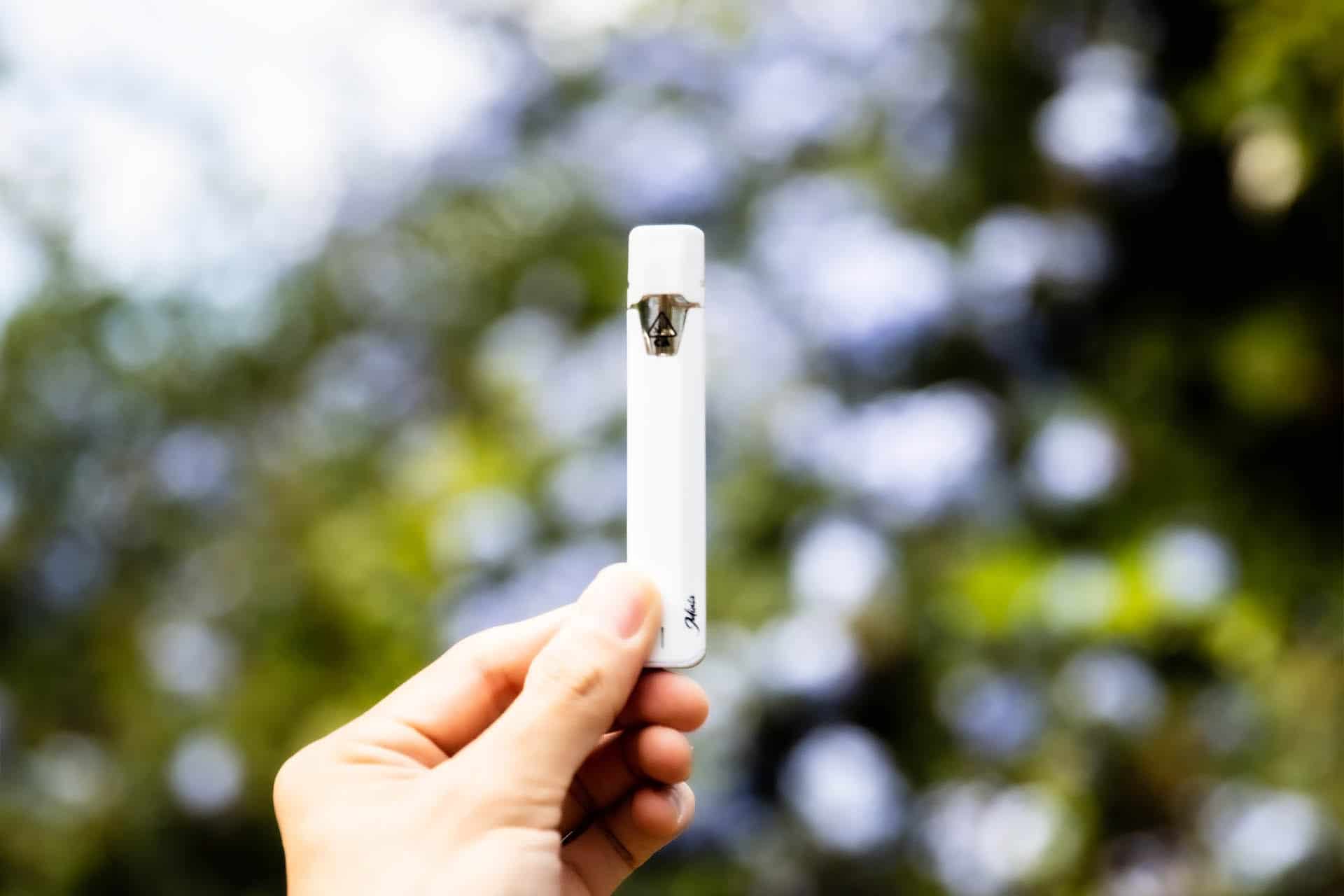 Mints Market How Mints Brand Does HHC Right