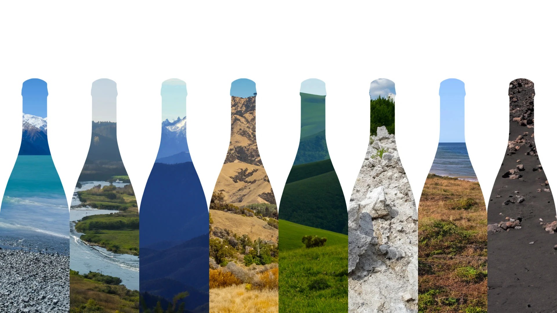 The Impact of Climate & Geography on Wine Production