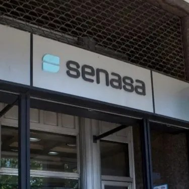Actualización obligatoria del RENSPA: Senasa fijó un plazo de 90 días para productores agropecuarios