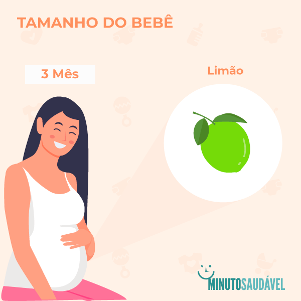 12 semanas de gestação são quantos meses? O bebê já mexe? MS