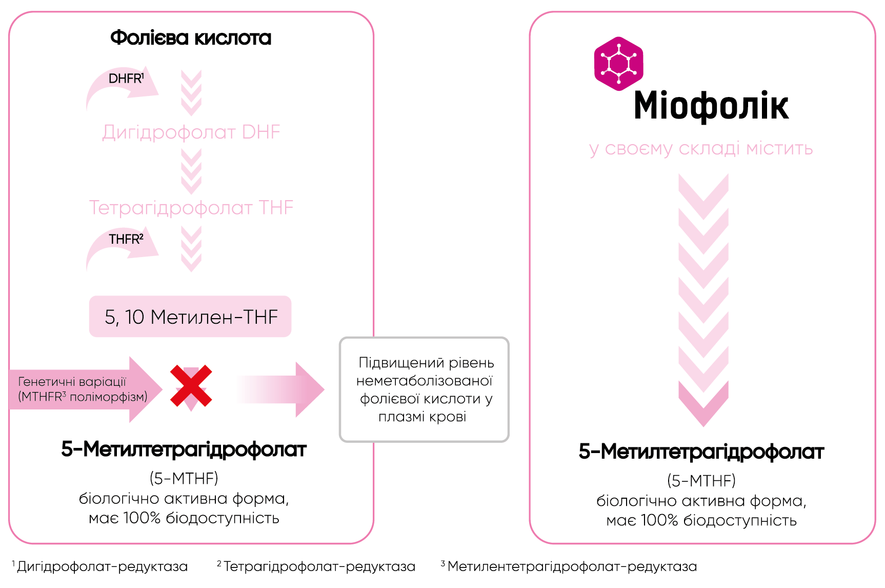 4th generation folic acid formulated into the Miofolic drug