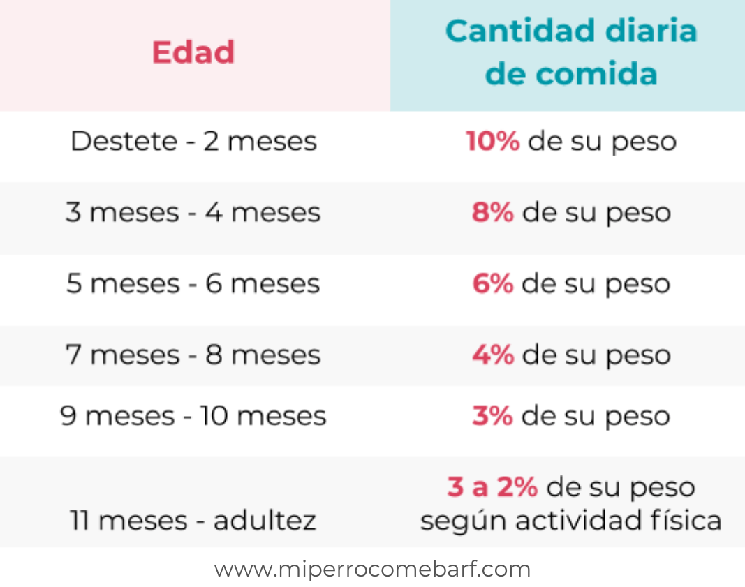 Cómo calcular la ración de comida para perros cachorros en la dieta BARF