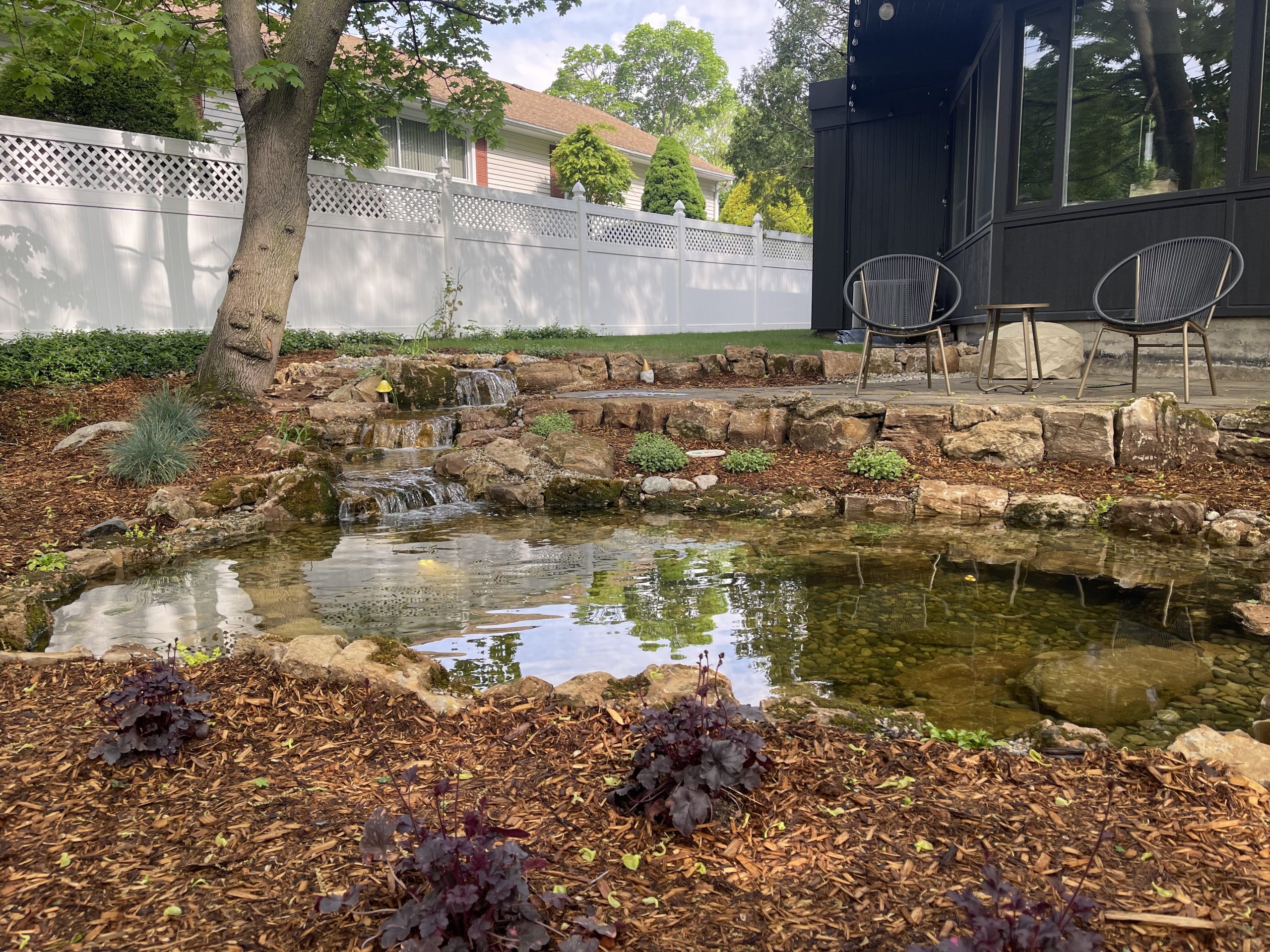 What Is An Ecosystem Pond Platinum Ponds & Landscaping