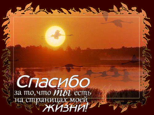 Спасибо, что ты есть! Спасибо в картинках поздравительные открытки
