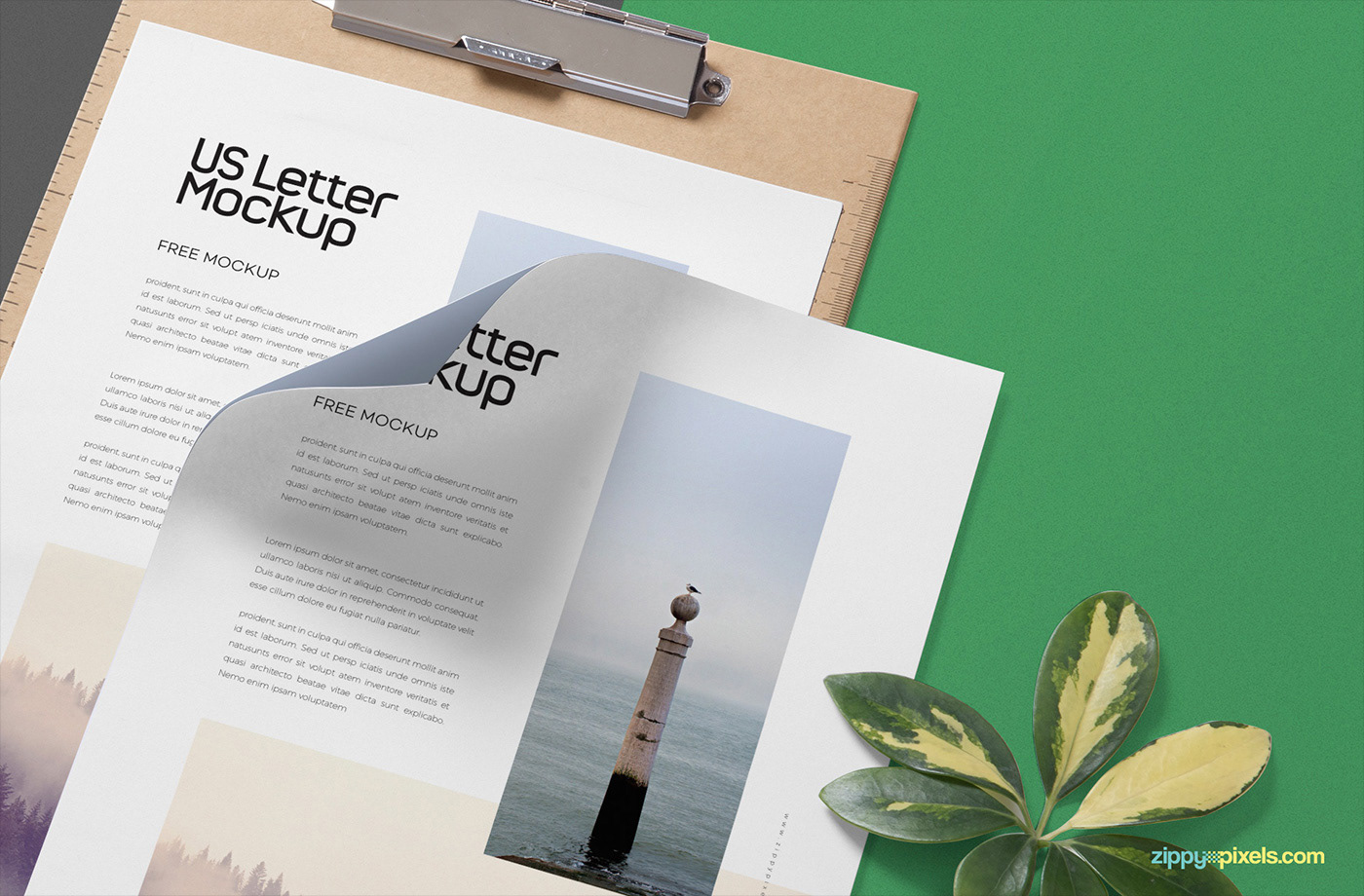 Free Letterhead Mock up on Behance