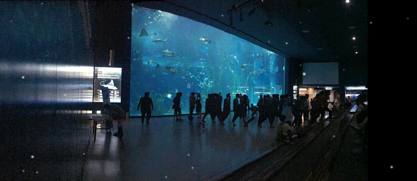 AR Aquarium on Behance