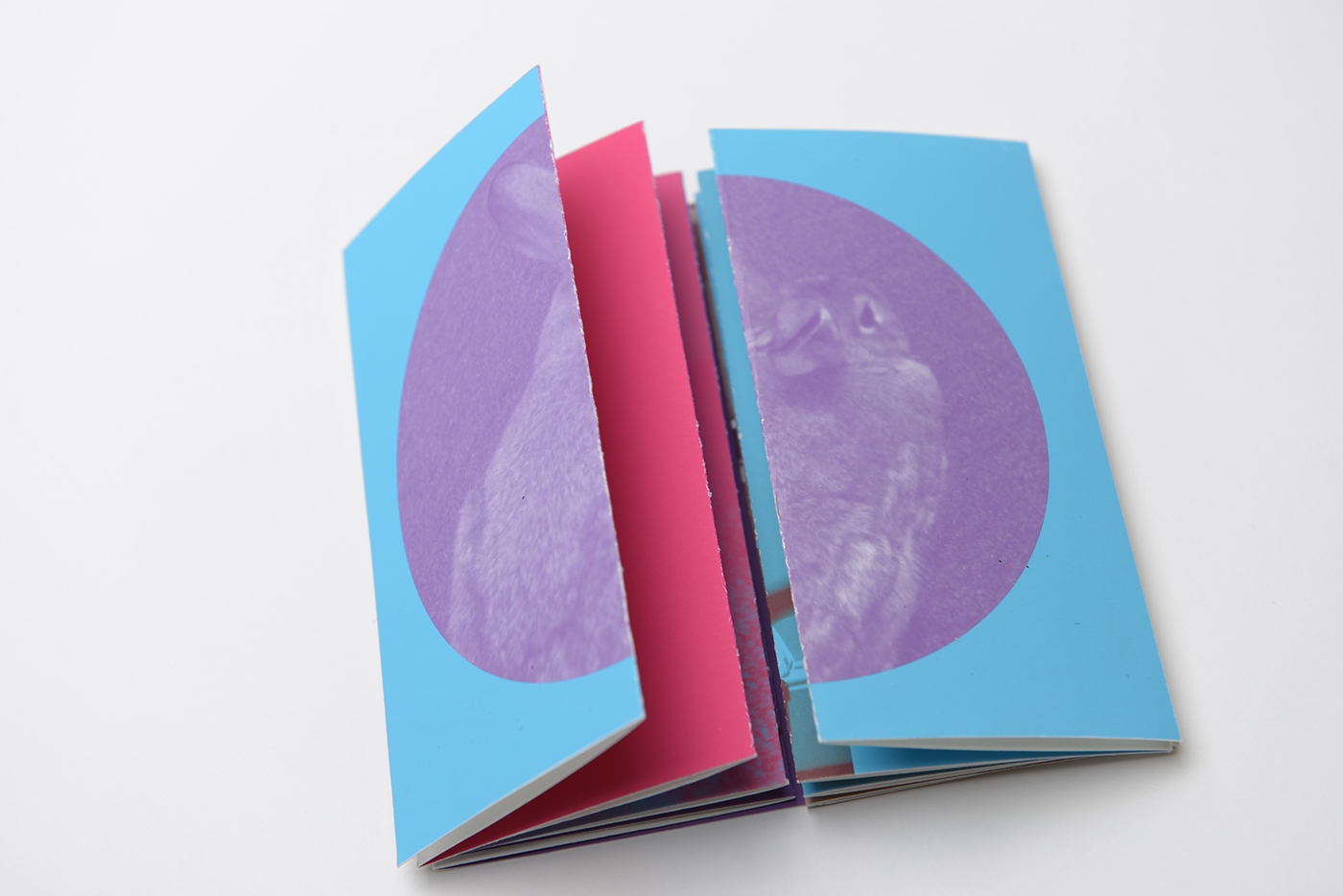 Accordion book on Behance