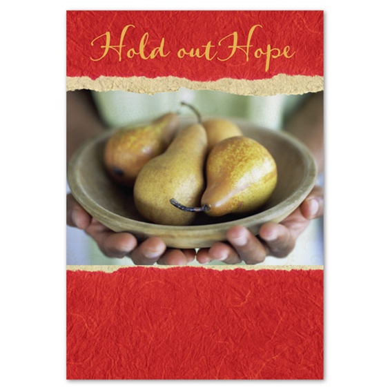 Colors of Compassion on Behance