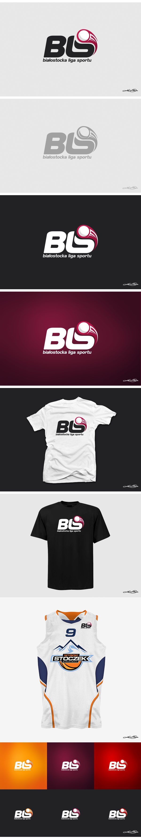 BLS Logo on Behance
