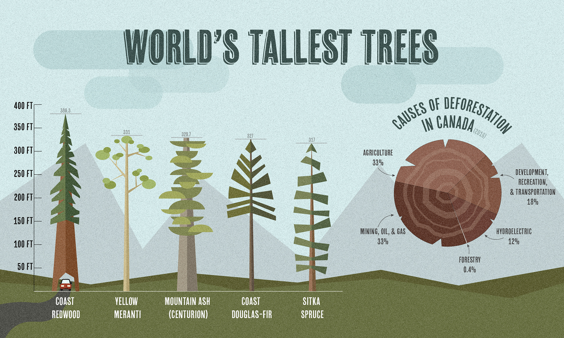 World's Tallest Trees Infographic on Behance