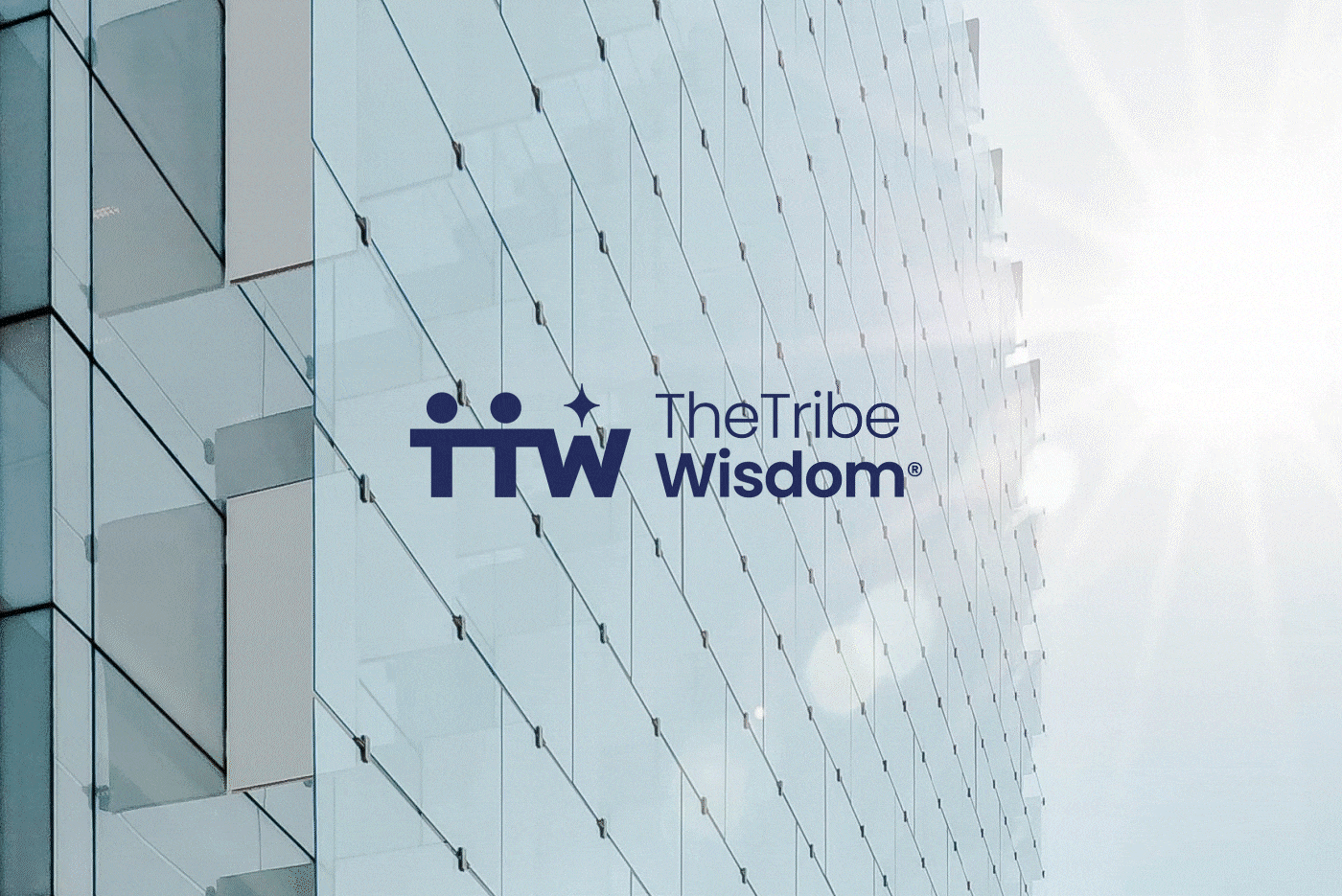 The Tribe Wisdom Behance