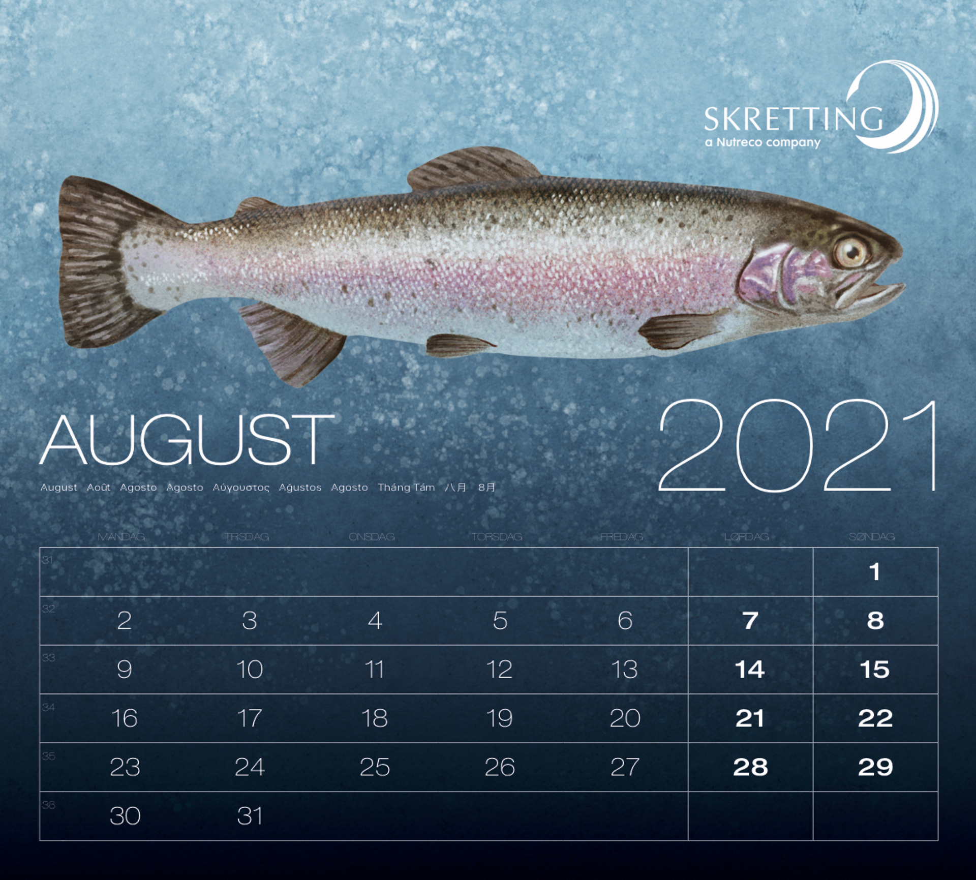 Fishes calendar for Skretting co. on Behance