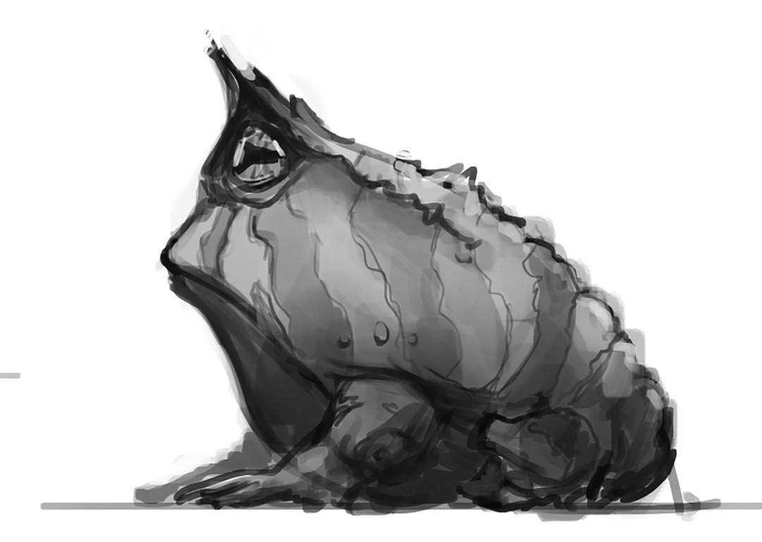 Frog Fantasy Character on Behance
