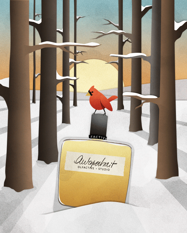 Winter Perfume Illustrations On Behance