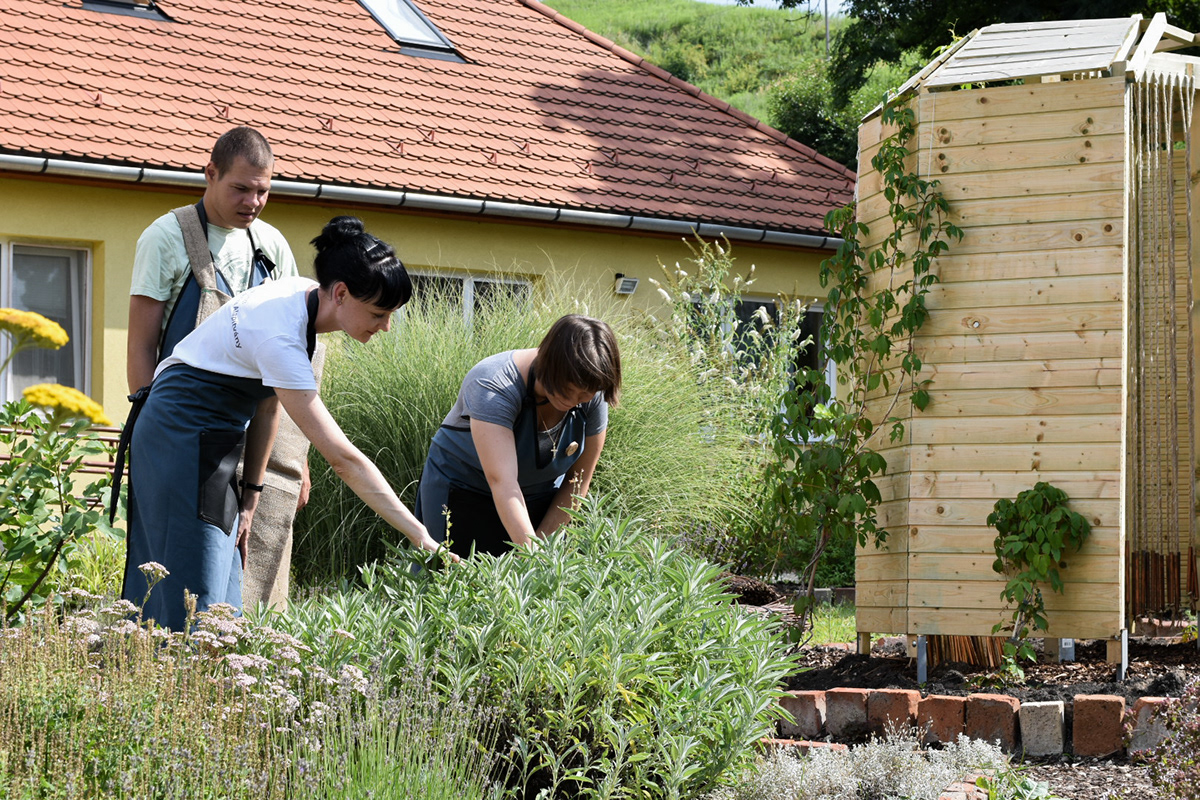 Therapy garden for people with ASD on Behance