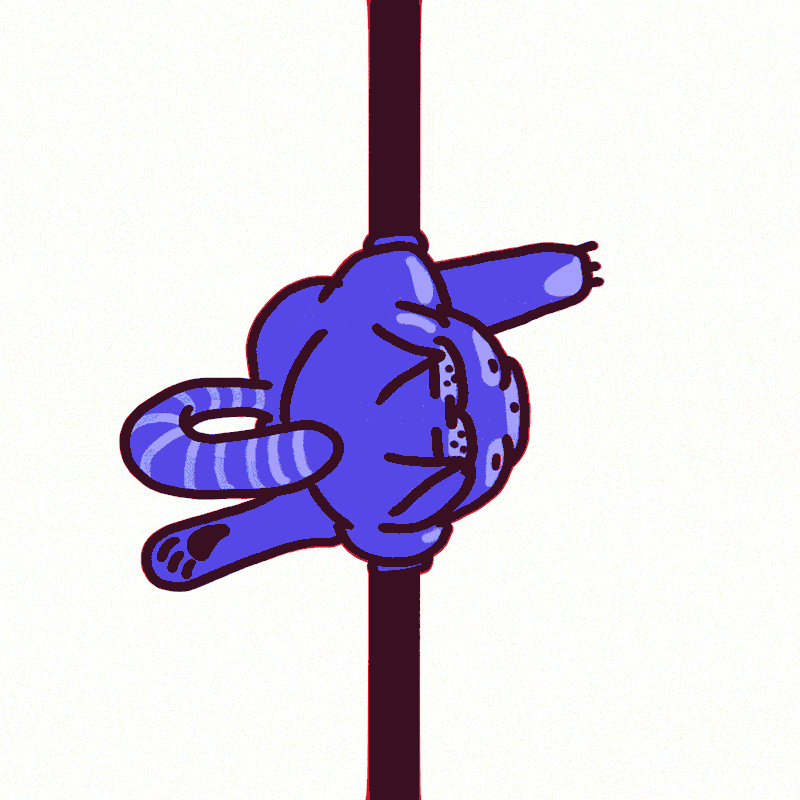 POLE DANCE CAT on Behance