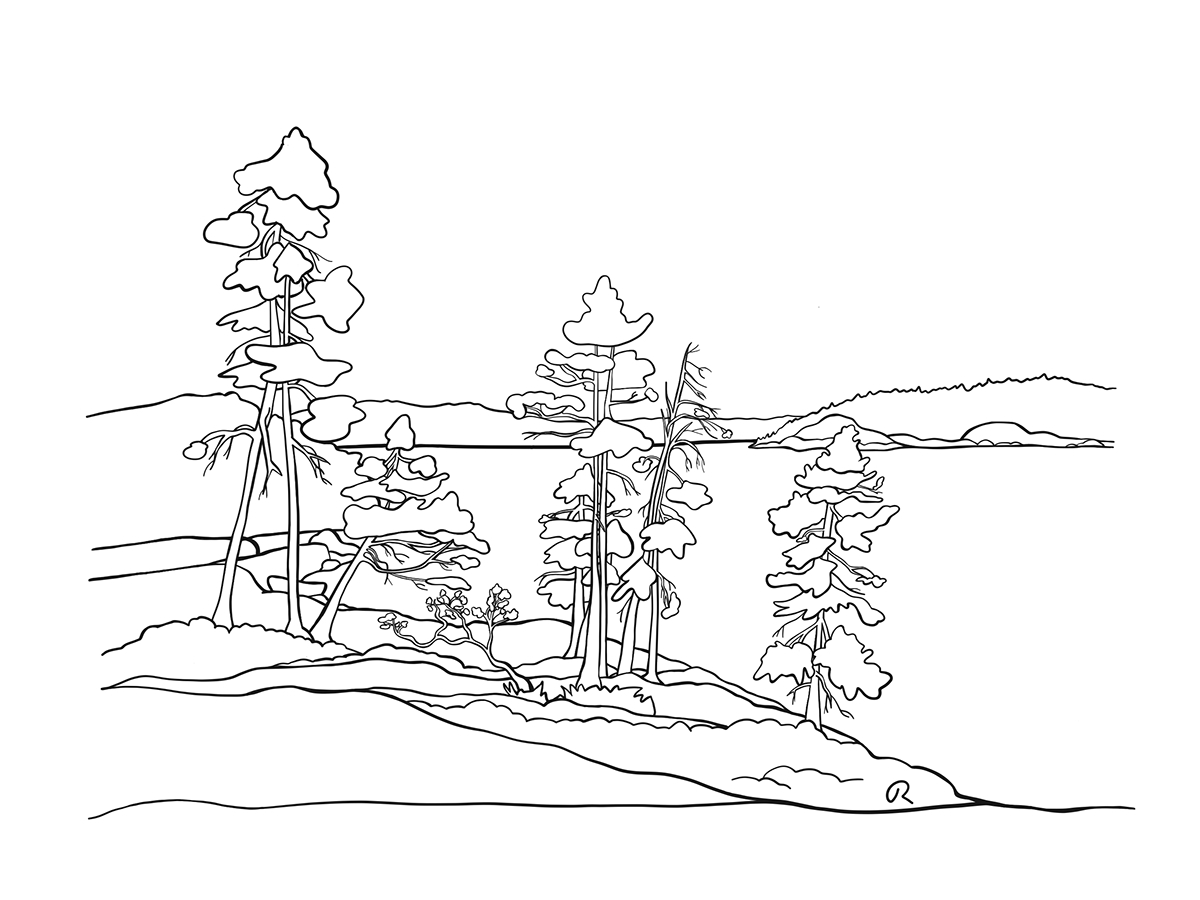 Nelson Island Waterfront on Behance