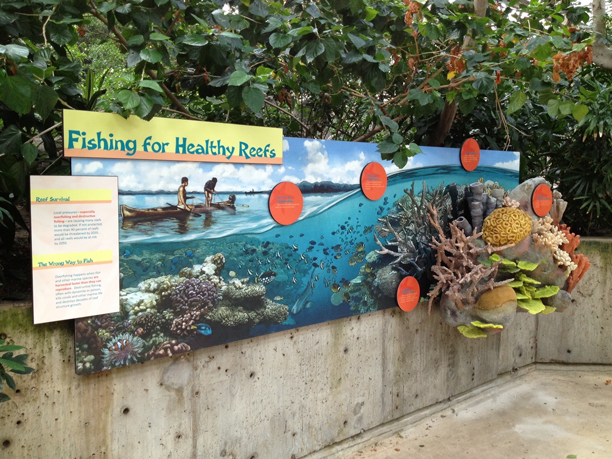 The Minnesota Zoo IndoPacific Coral Reef on Behance