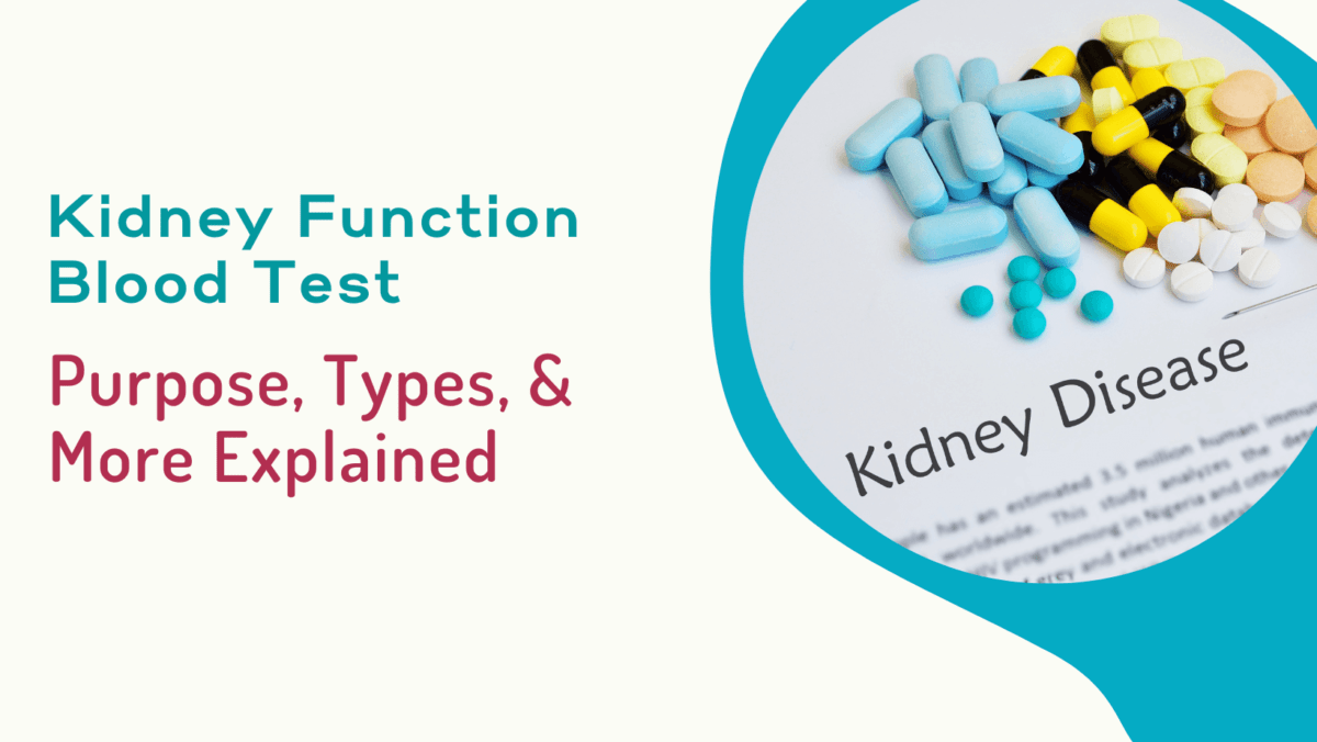 Kidney Function Blood Test Purpose, Types, & More Explained Miracle
