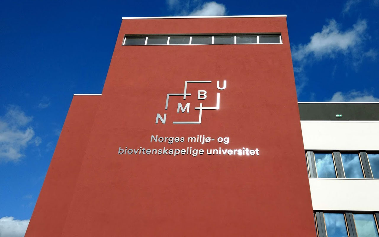Progress on the MIRACLE project at the Norwegian