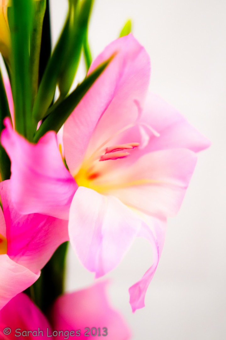 What Makes A Masterpiece? Taking One Day At A Time