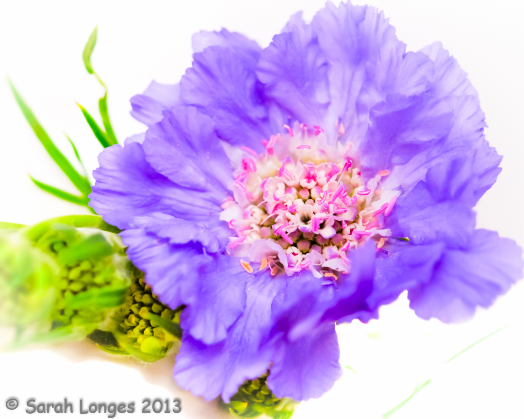 What Makes A Masterpiece? Taking One Day At A Time