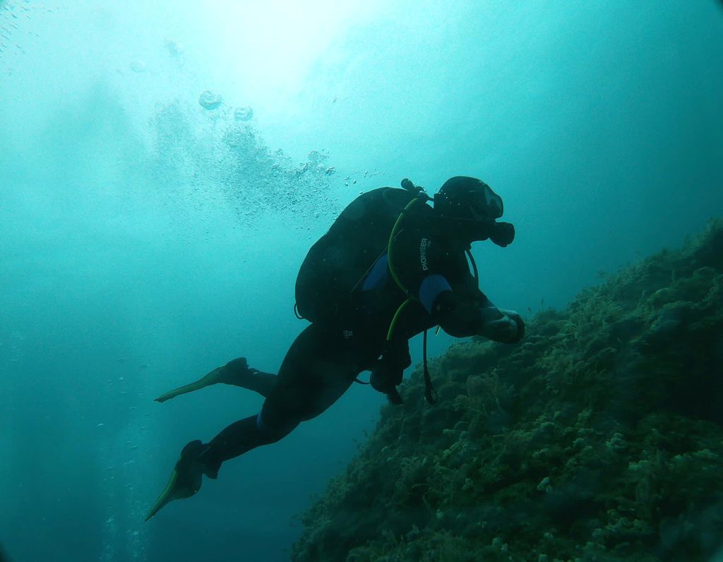 5 of the Best Dive Sites in the Azores MIRADOURO DA PAPALVA GUEST HOUSE